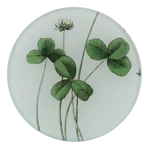 Forage Clover Plate