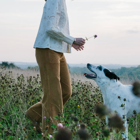 Downing Corduroy Trouser